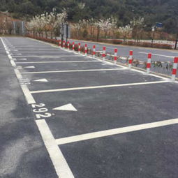 新聞 沙田哪里有 停車位劃線工程隊(duì)